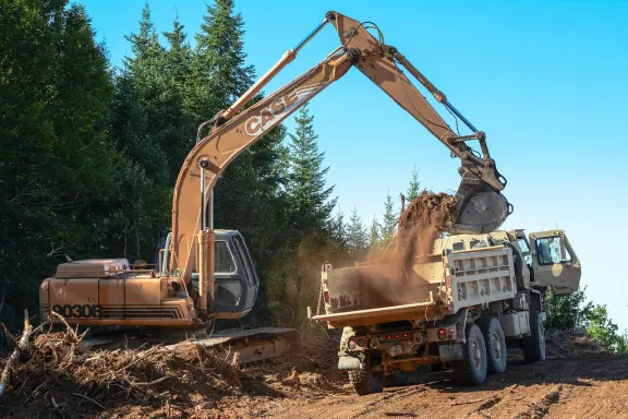 BingoCafe Kasyno Wsparcie